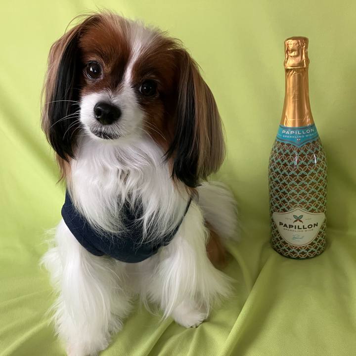 C4a55df9 78a4 4c7e 8ee7 bb0bb8555eba 1741487153493