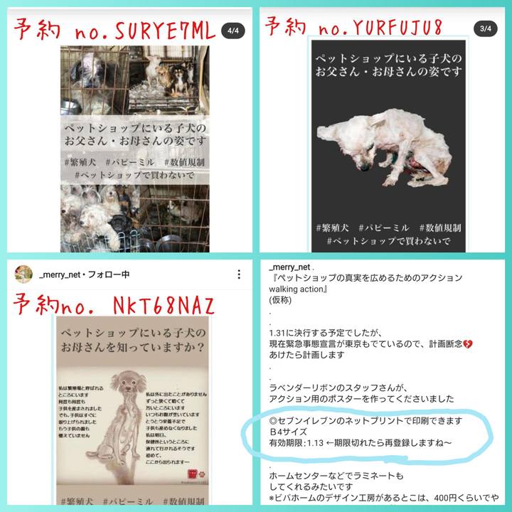 C4a58a1a 51c1 46b1 af86 6ff691c43229 1610207131243