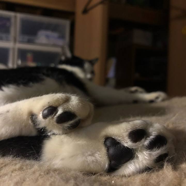 C4a5a100 534b 4d08 85df c6e67491031b 1547985483875