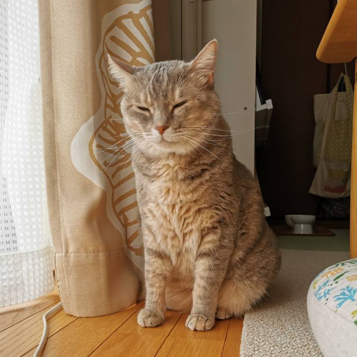 C4a5abc4 008b 47f4 85de d0ee486f2f78 1662436715529