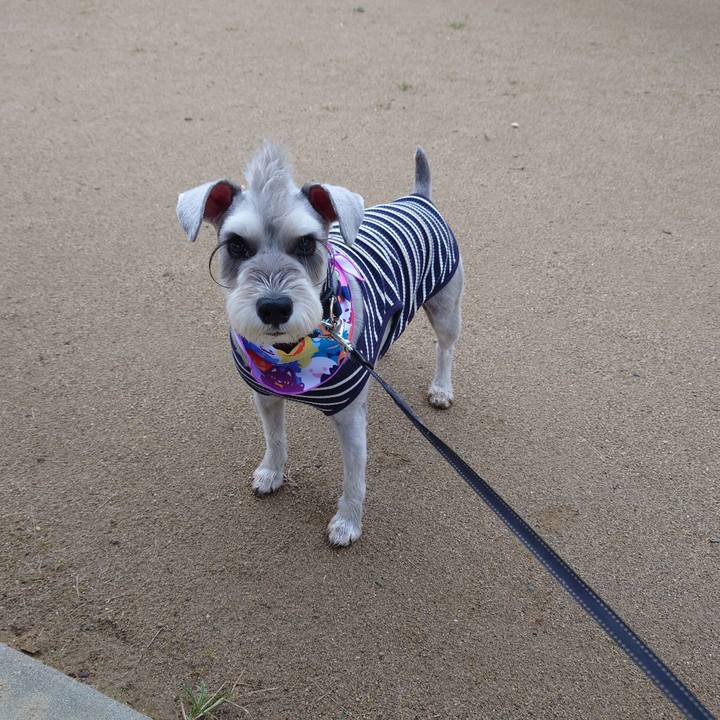 C4a5ac49 6329 4ac4 9df4 7759a8e6b8b7 1760570686601