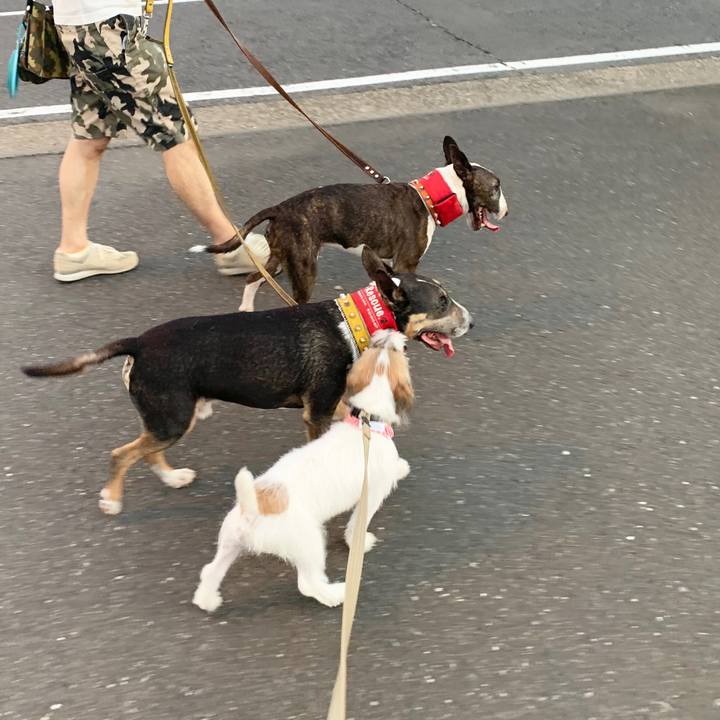 C4a5e02d 701e 4d81 a0c4 7259a772b52d 1565692593086