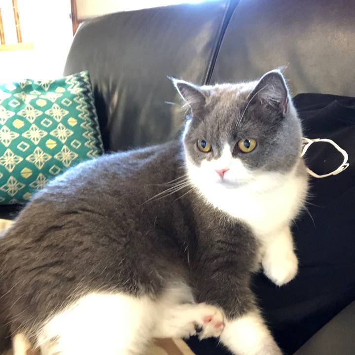 C4a623a3 47ce 4c45 b95e 60f8b5eeeaa4 1561275675304