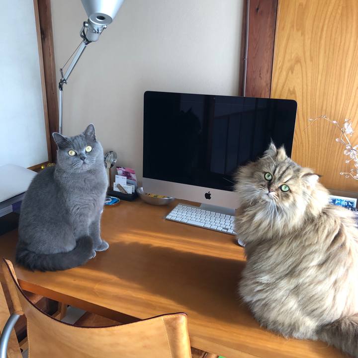 C4a6262e 3a43 4331 be68 ba1c893db887 1576468417285