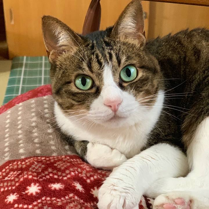 C4a631a3 4837 49b4 a07f 1f39eca0578a 1560154434523