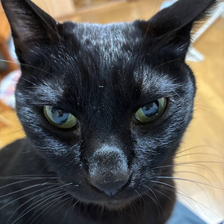 C4a6751b 420c 43d8 a0c3 08773224ed56 1767970156533