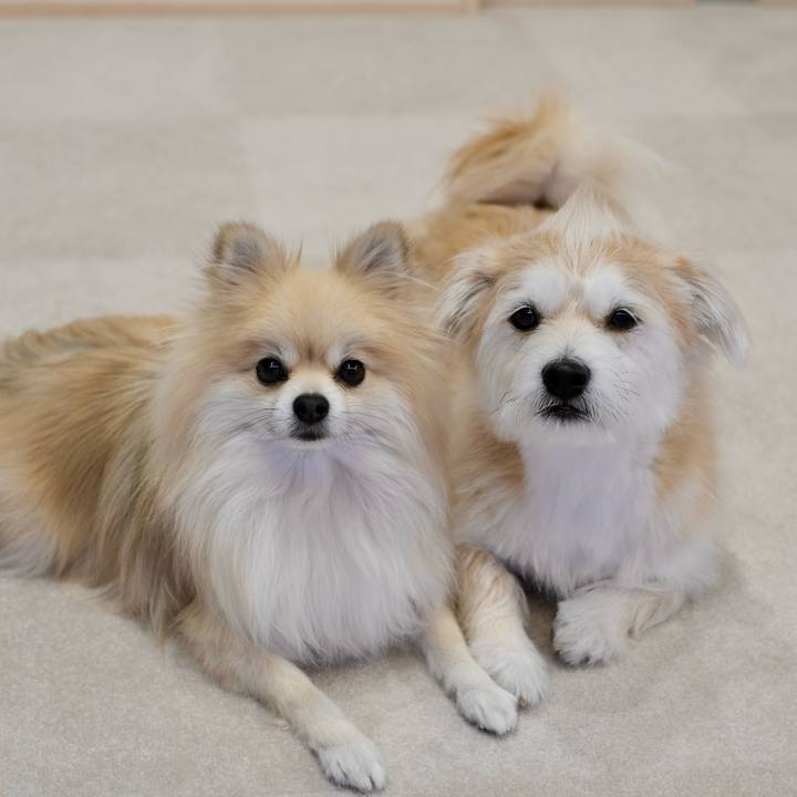 C4a6782a e81b 4e8b afd2 c350c1a3acb0 1767308547132