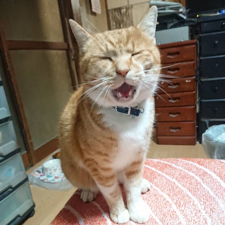 C4a6bf6c 9ed3 4936 b289 fb002b347057 1605902092827