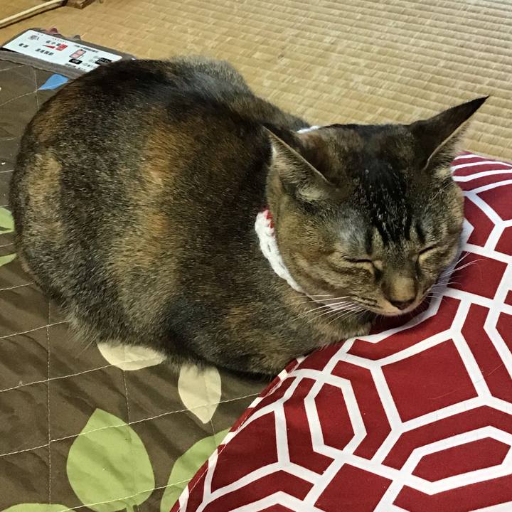 C4a70269 b825 406a 89af 17af8ab769ca 1610491101830