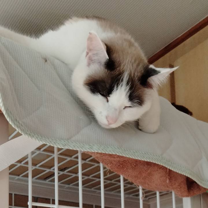 C4a715ba f4d7 44dc a095 0ca0104e592b 1646970159350