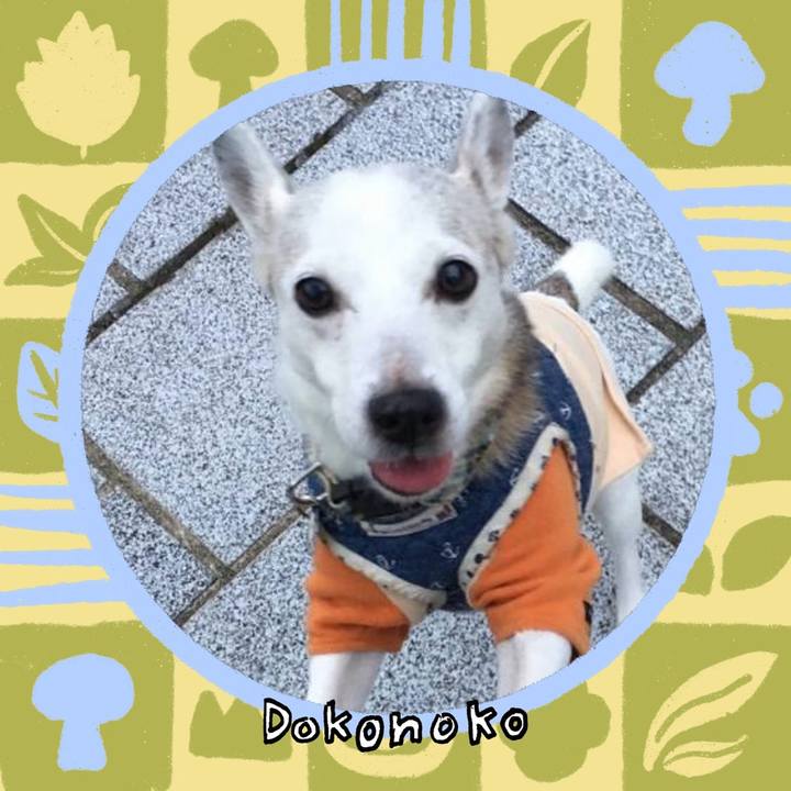 C4a750e5 53de 41bf bf25 288ade7040fe 1761432681696