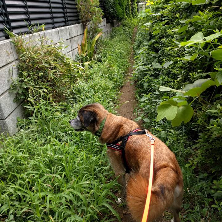 C4a7569b 05a8 468b 821a ce8877fd06a4 1534807645509