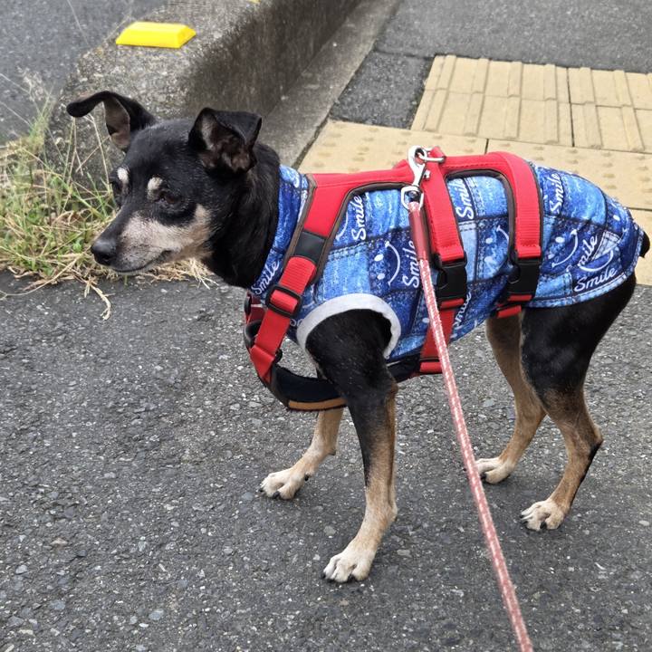 C4a75d4f 9991 4d4d 8856 7b7d273ee176 1759793262489