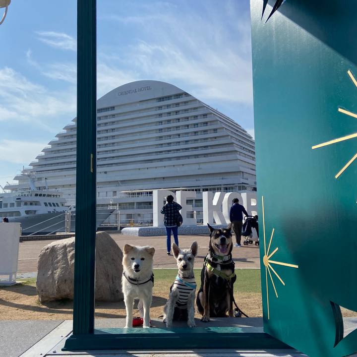 C4a763ba f36b 4556 bb0b b0df0a790d8c 1668834404849