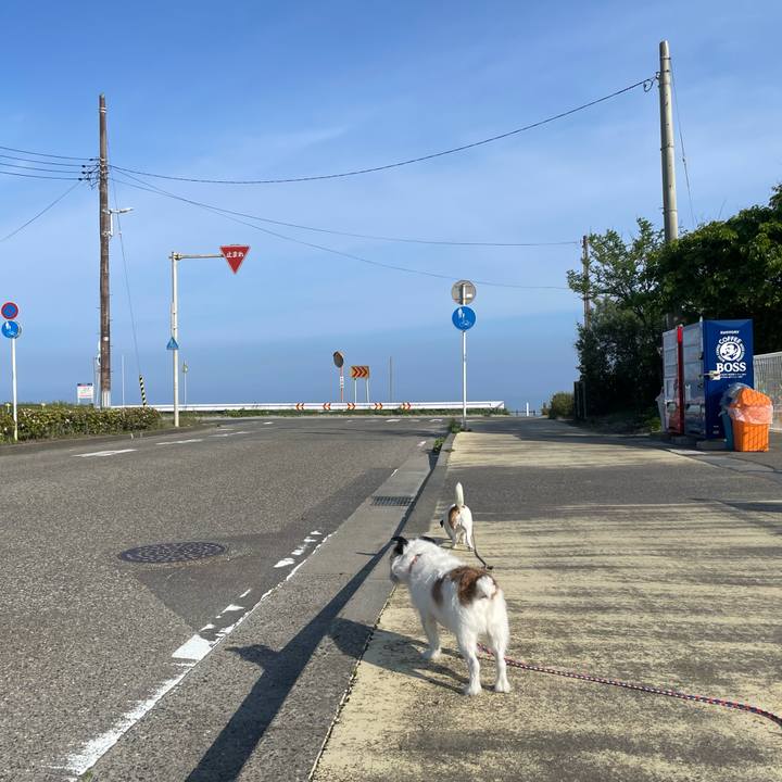 C4a7b9e7 d644 4b76 aaaf ef53a2bdaaee 1748475543461