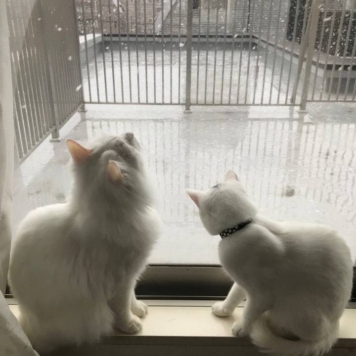 C4a7dd03 91cc 458e 8522 2703a3d1a605 1584171773311