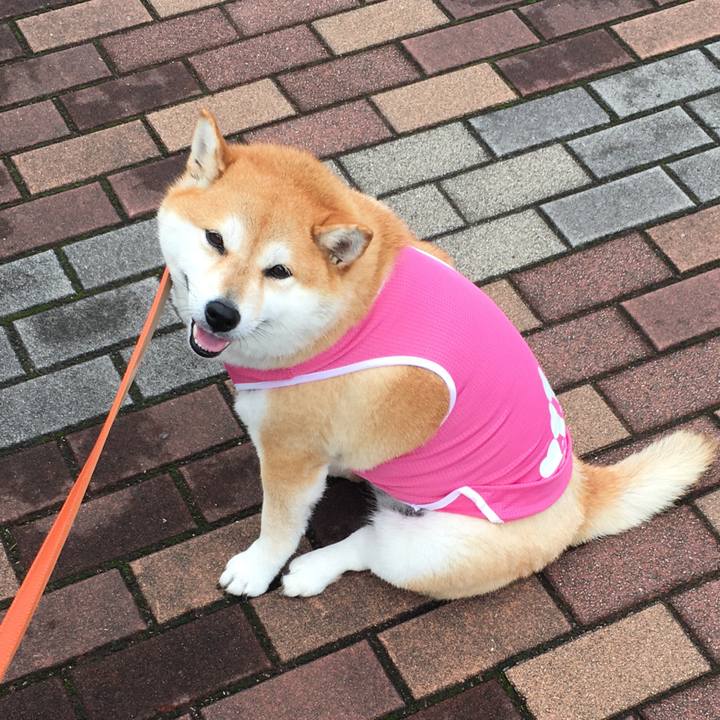 C4a7de5e e339 4bd7 9f69 d5685ccb353e 1571107608659