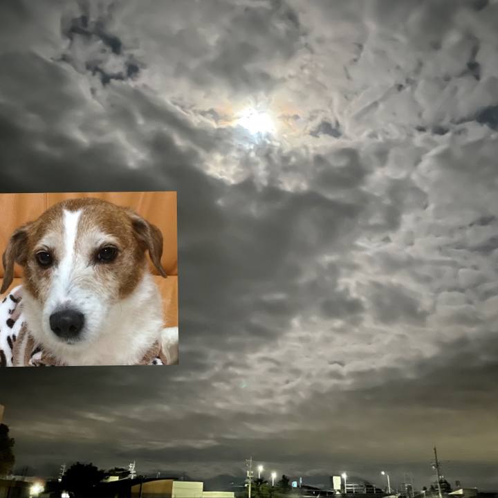 C4a7e32f 507f 476d 95b9 4196ad6d37c0 1634555618279