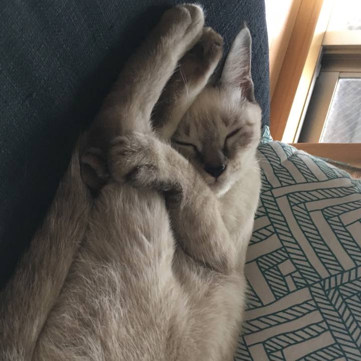 C4a820e9 4893 4fae 9bcc 300d73100d07 1538726346809