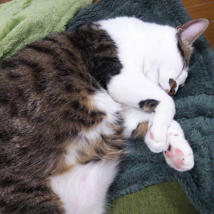 C4a820fc eaab 4c8f b852 5bc2707318b2 1639200742854