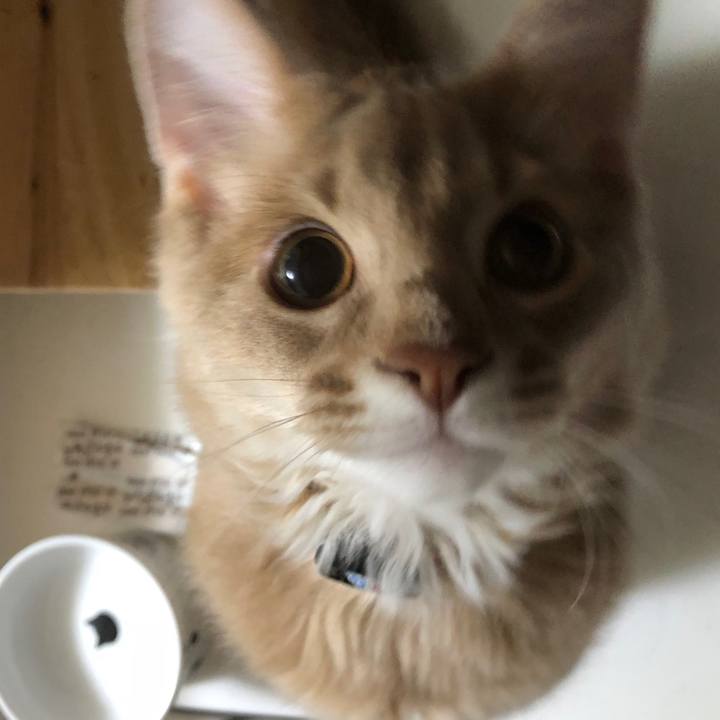 C4a83276 38e2 45d9 8de3 a806913b01d4 1547870392470