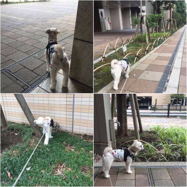 C4a89610 f651 427d 9cac 37482e0265fc 1529749839848