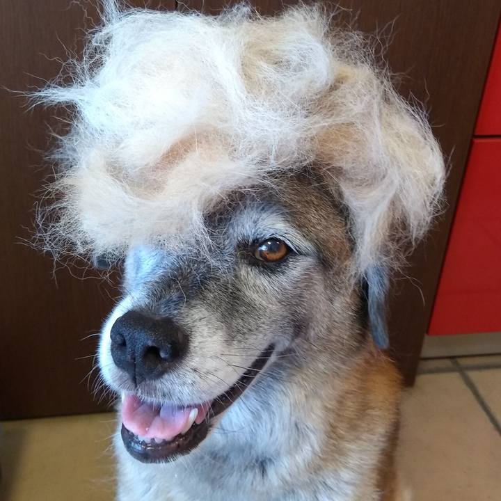 C4a8a548 575a 4e53 b5f3 05c669cecb67 1625269287275