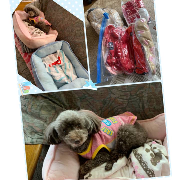 C4a8b631 ec03 4cc2 aea7 d569b7bdbed6 1588662038789