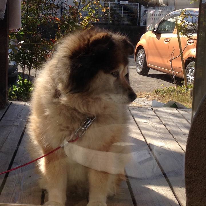 C4a8eaf7 0d3e 4921 b415 499d071b77b5 1550535161618