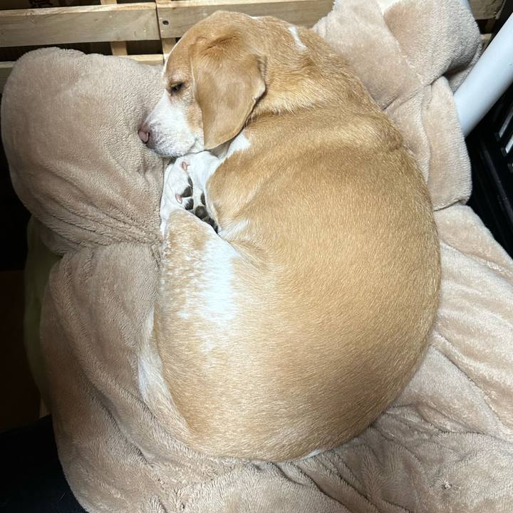 C4a8ecb0 fd7a 4013 9713 14762040da04 1673611330771