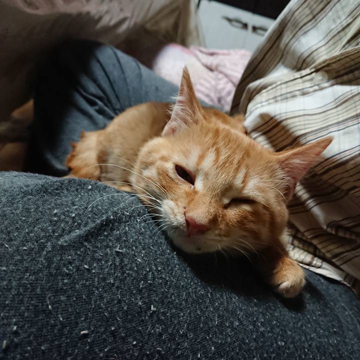 C4a903ad 4a02 40dc a29b 5838ba62b1fe 1634727026299