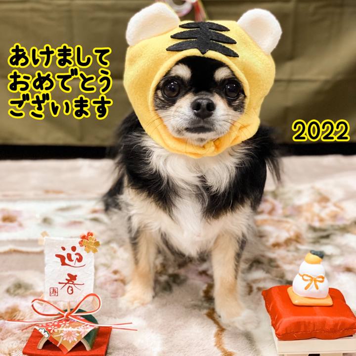 C4a91cc6 5a74 40f1 b096 31d75241bb9a 1640987059265