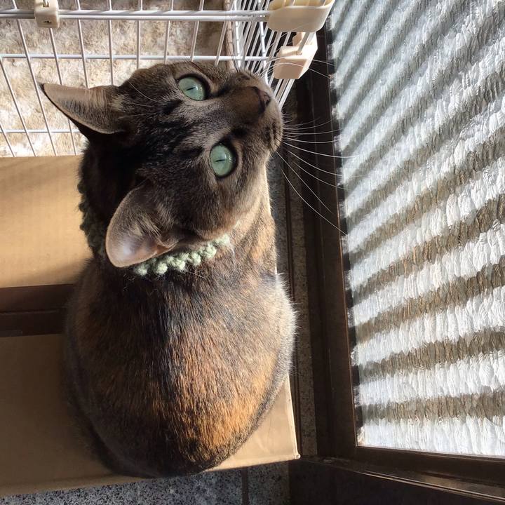 C4a930ae 7da7 415a 94d1 1dc1b15c50b4 1641087974903