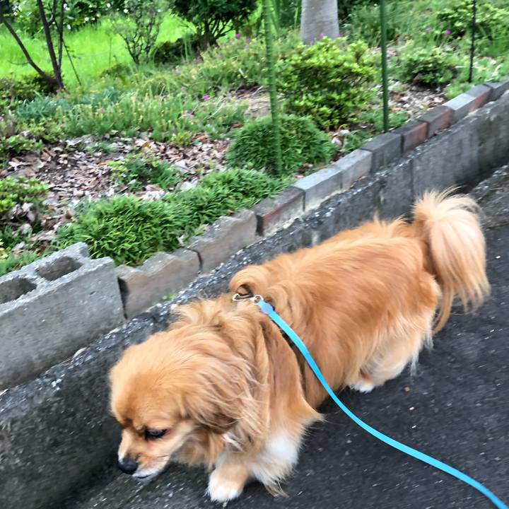 C4a94628 16da 4e65 a0ab e2907b524c7a 1562796241323