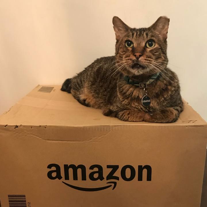 C4a953d7 e0d5 46dc a878 587f88c7918c 1533299661317