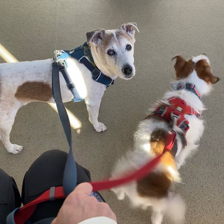 C4a9575a 4a36 4431 a487 1f817e9ccaf1 1667094097626