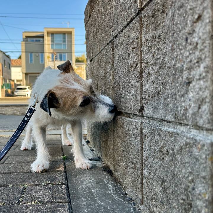 C4a984b4 a56b 4139 87db 243c2b3ba7c8 1739599524813