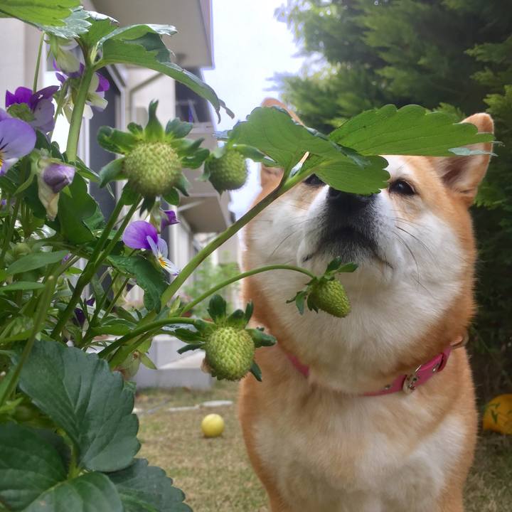 C4a9ae06 3f58 409c a431 6a92e8feb8d4 1524521422085