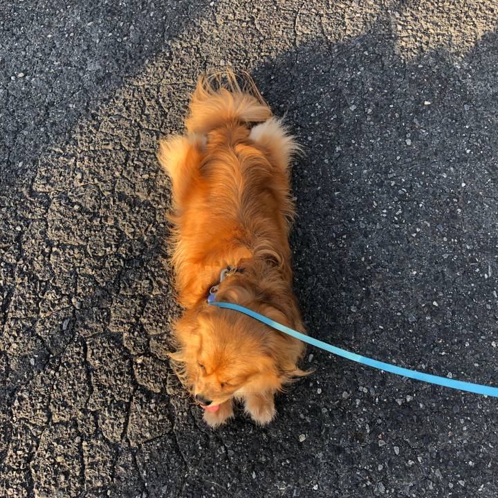 C4a9bca6 5140 4d5b a09f 5f58f3014749 1565560538048