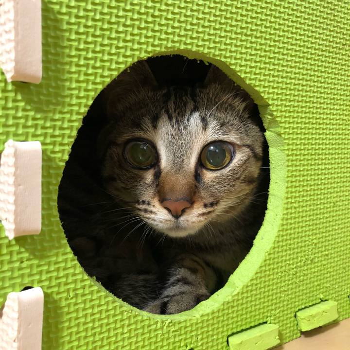 C4a9df90 2f40 4b9e b910 203531f72a4b 1521214751606