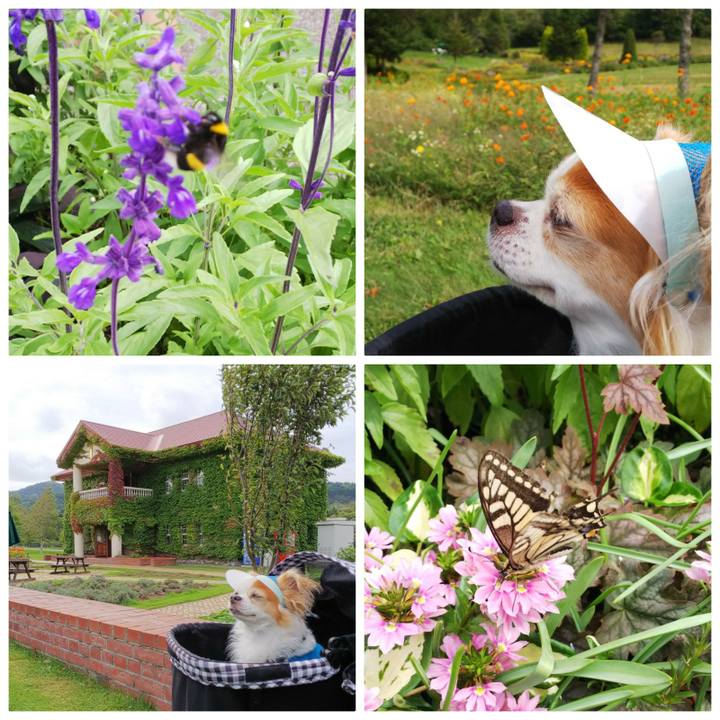 C4aa354f 79ec 477c 9353 c9ed7b81165a 1537077388767