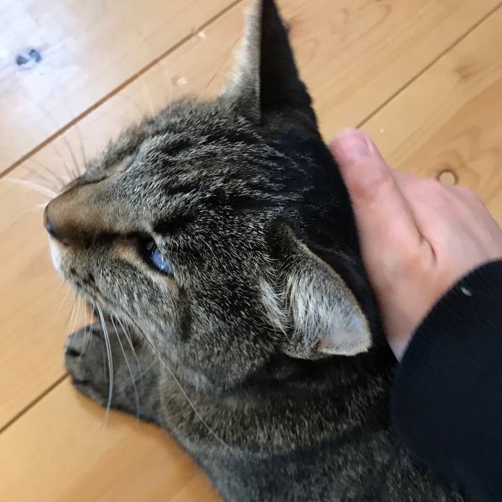 C4aa95d2 5c09 4834 aa1c 56d83ffee65c 1588151429818