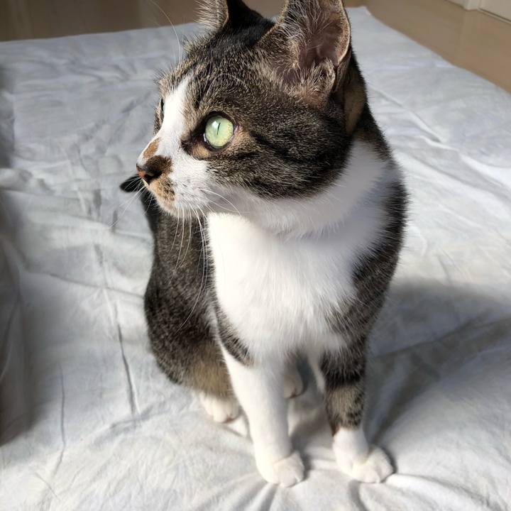 C4aa968a 0f8b 4207 bc04 113f738ca352 1527116695593