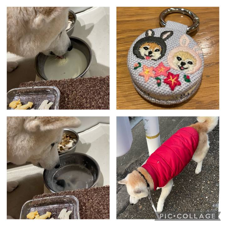 C4aaad53 056c 424e 8500 a5183b07eae6 1674725820780