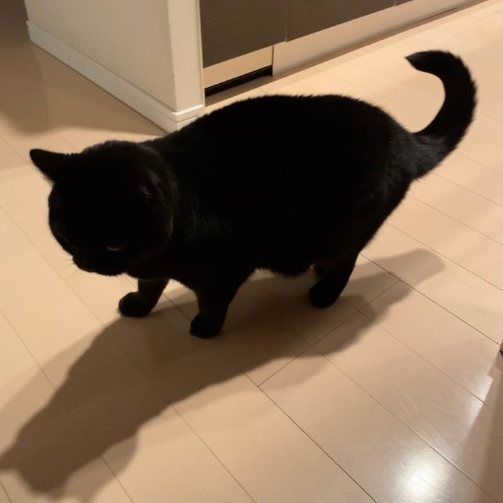 C4aac0d9 0b09 406a 8b12 6c01a786e799 1674564711306