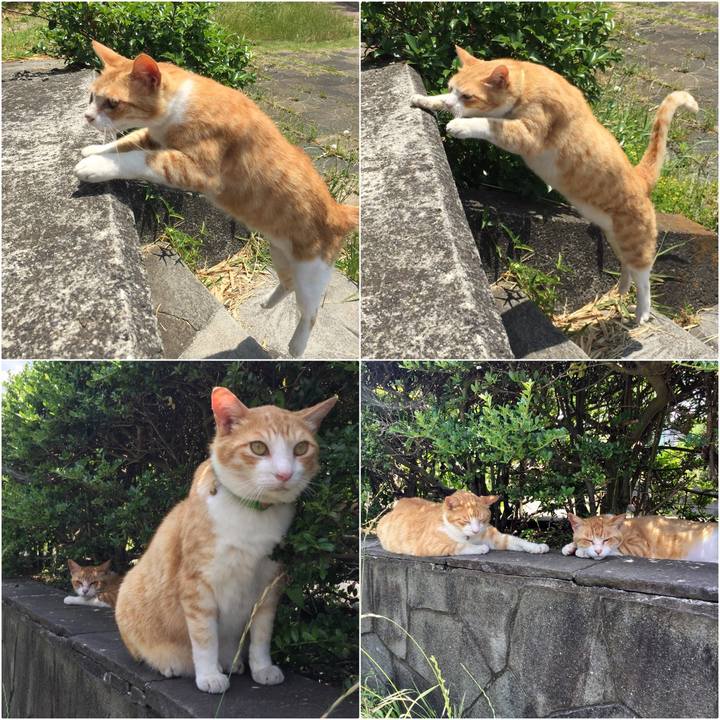 C4aaee21 992a 4353 914b da6628c528be 1527922117532