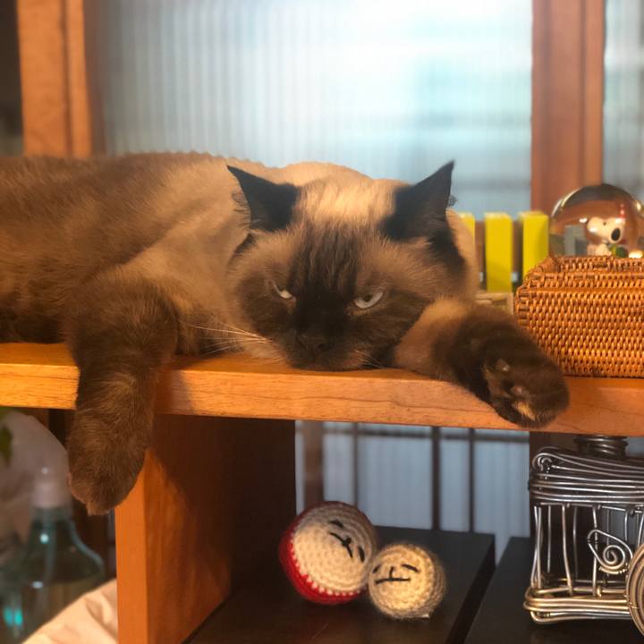 C4ab5095 5ce0 48bc 9fea 7ee0f4adfc90 1632034315771