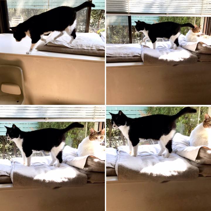 C4ab69e5 f930 4b87 8e8f a64e5c77d443 1553049261251