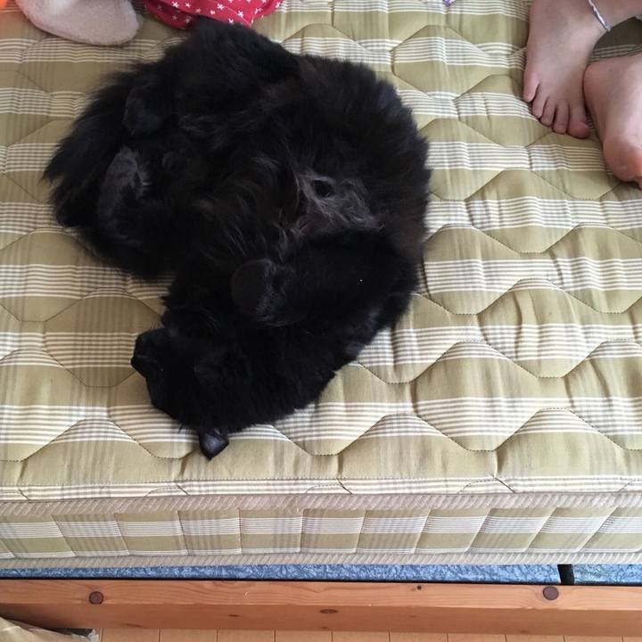 C4abb52a 82cf 4bfd 8cbf 14a61e608d2b 1536290897176