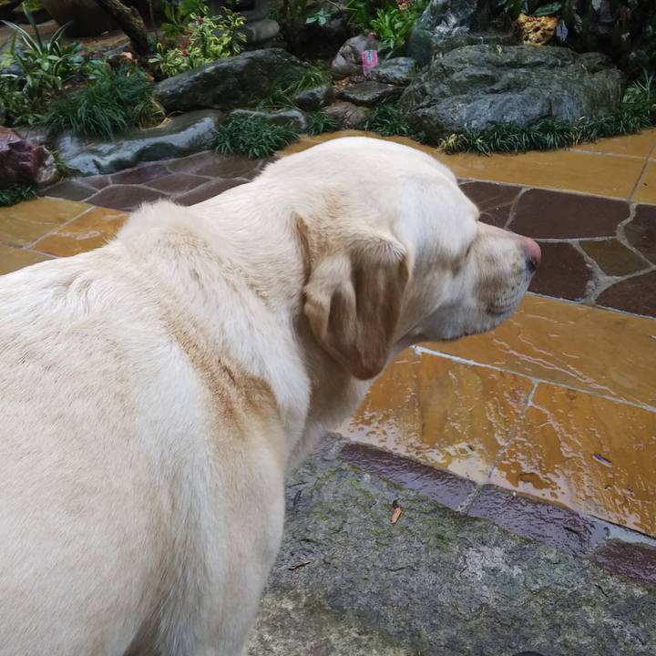 C4abcd71 094f 4e10 b005 4772e74f1c1c 1551586119631